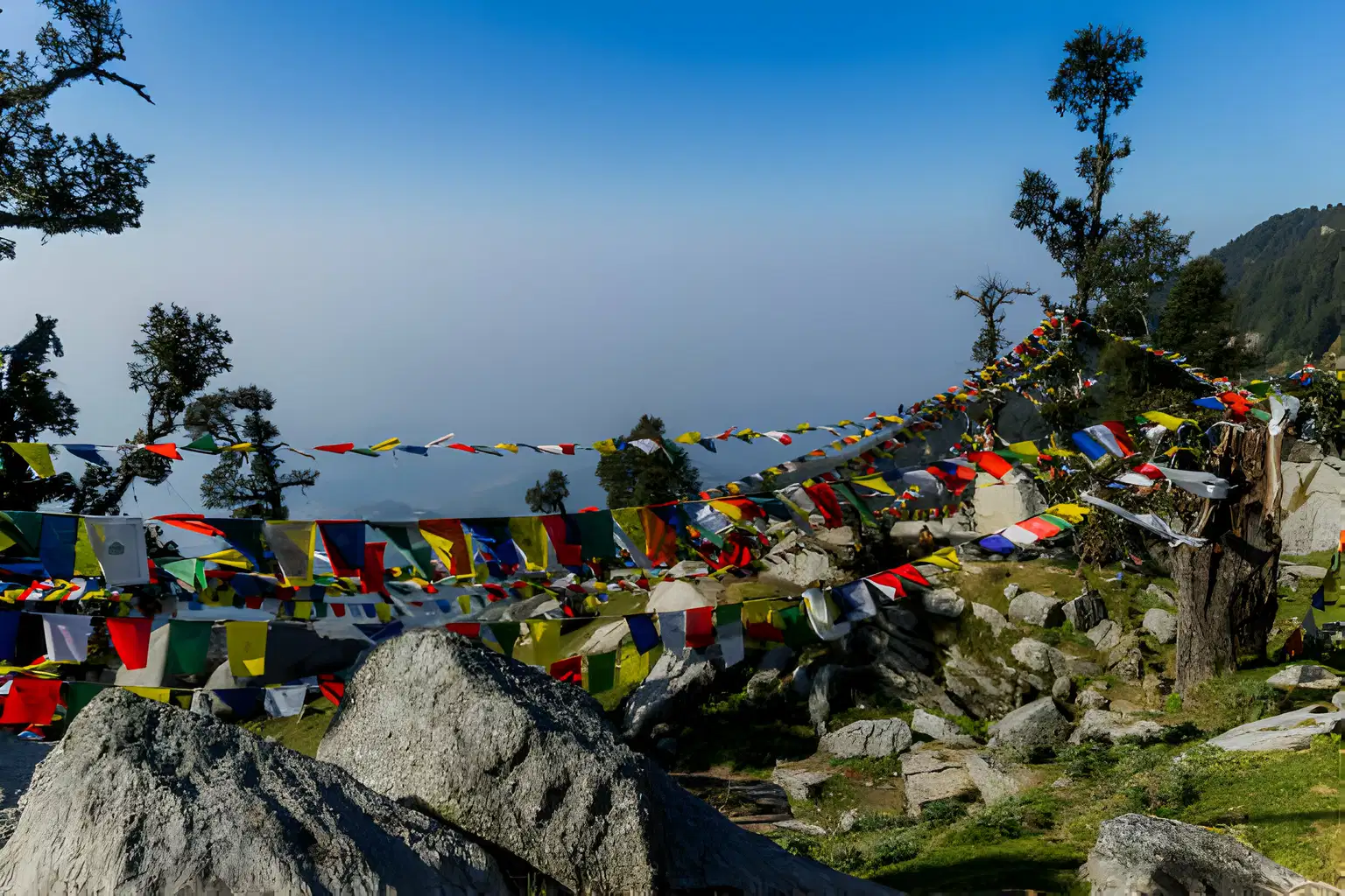 Triund Trek and Camping at Triund top